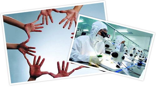 Product quality assurance, selection only selected heartwood