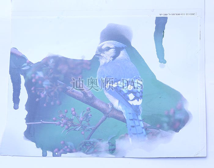 遇水變透明油墨